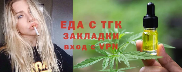 индика Белокуриха